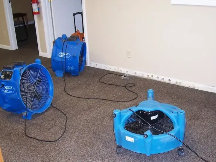 Blue air movers running on carpet with baseboards removed, drying equipment of the kind used in Lakewood homes