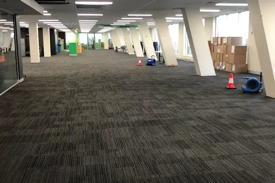 Air movers and dehumidifiers drying wet carpet across an open office floor
